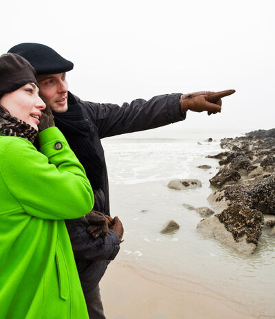 Marketing, das mehr Qualitätskäufer anzieht